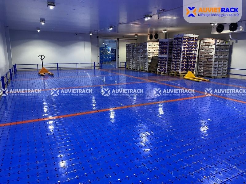 Dự án kệ kho lạnh tại Đồng Tháp thực tế