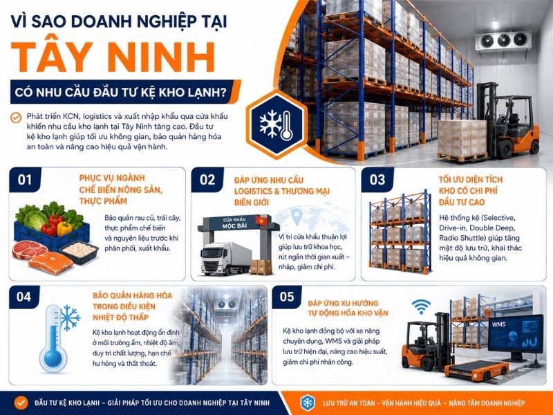 Nhu cầu lắp đặt kệ kho lạnh tại Tây Ninh