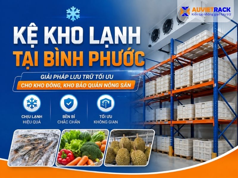 Kệ Kho Lạnh Tại Bình Phước- Kệ Chịu Âm Sâu, Tối Ưu Tối Đa Tải Trọng