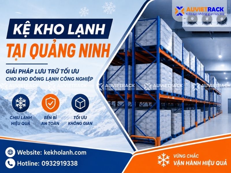 Kệ Kho Lạnh Tại Quảng Ninh- Bền Bỉ Nhiệt Độ Âm, Tải Trọng Vượt Trội