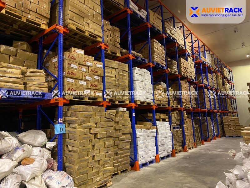 Dự án kệ kho lạnh tại Bình Định thực tế