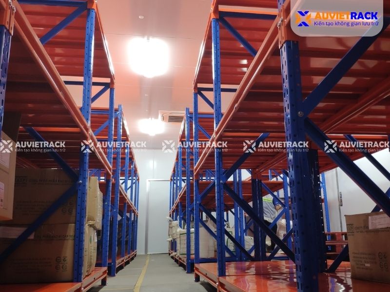 Dự án kệ kho lạnh tại Bình Định thực tế