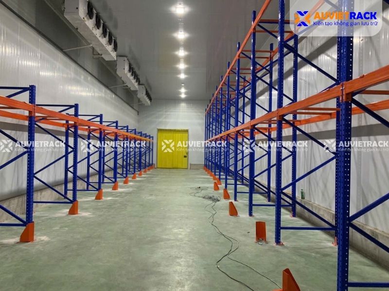 Dự án kệ kho lạnh tại Ninh Thuận thực tế 