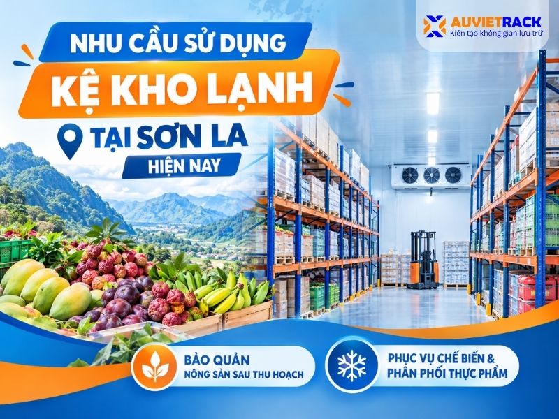 Nhu cầu sử dụng kệ kho lạnh tại Sơn La