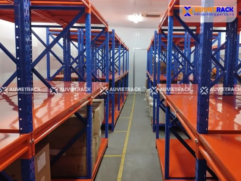 Dự án kệ kho lạnh tại Trà Vinh thực tế