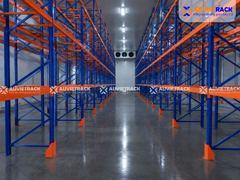 Dự án kệ kho lạnh tại Trà Vinh thực tế 